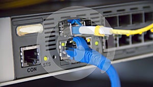 Network cables connected in network switches