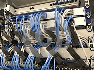 Network cables connected to data center server