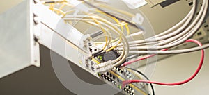 Network cables connected to an ethernet ports.