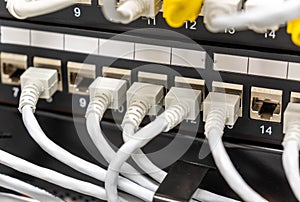 Network cables connected to router ports or switch