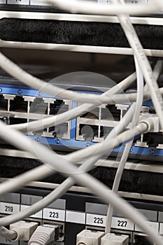 Network Cables Connected to Server