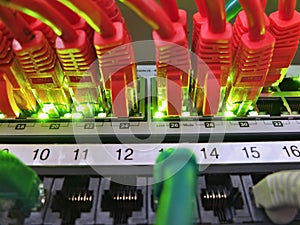 Network Cables connected to server