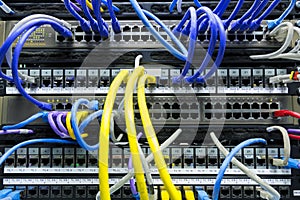 Network cables connected to the server