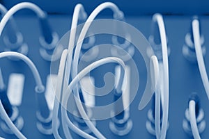 Network cables connected to a switch