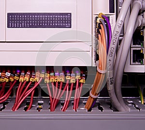 Network cables connected to switch - close up of data center hardware. Multi colored wires