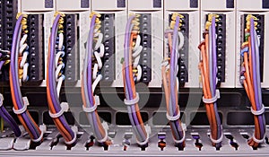 Network cables connected to switch - close up of data center hardware. Multi colored wires