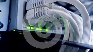 Network cables connected to switch. network hub.