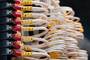 Network cables connected to a switch, network  internet communication concept background