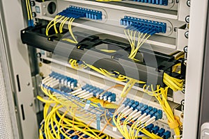 Network cables connected to switches ports in datacenter cupboard, web or cellular server hardware equipment