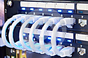 Network cables with connectors on switch