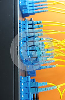 Network cables and hub