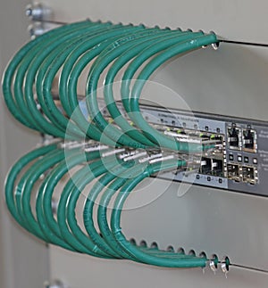 network cables in a patch panel for the connection of the computer photo