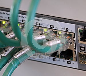 network cables in a patch panel for the connection of the computer with the central server photo