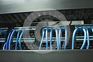 Network Cables In Rack