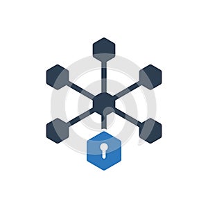 Network Connection Security Icon