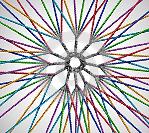 Network Diversification