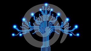network of electrical components that light up