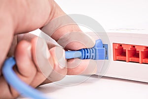 Network Engineer input UTP cable