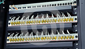 Network ethernet cables connect to switch server rack in data center hub of university, wires management on the interface panel