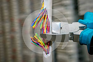 Network internet cable is torn with a sharp tool. The concept of vandal damage to the trunk. Cutting a multicore cable with a