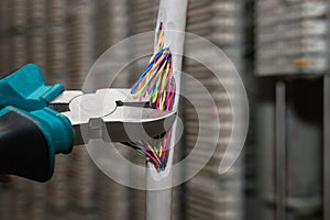 Network internet cable is torn with a sharp tool. The concept of vandal damage to the trunk. Cutting a multicore cable with a
