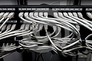 Network panel, switch and cables in data center