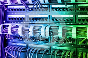 Network panel, switch and internet cable in data center. Black switch and blue ethernet cables, Data Center Concept.