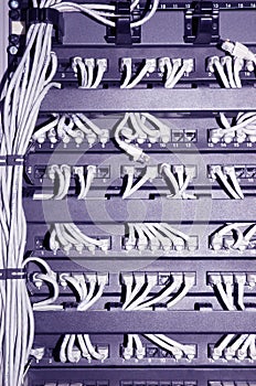 Network rack with cables #2