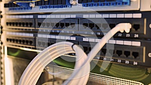 Network server rack with patch panel and ethernet cables for data connection