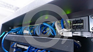 Network Switch with Blue Ethernet Cables and Blinking Lights in Data Center