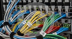 Network Switch with Connected Ethernet Cables in a Data Center