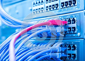 Network switch and ethernet cables,Data Center Concept.