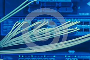 Information Technology Computer Network. Network Switch and ethernet cables.