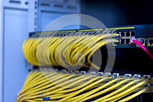 Network switch on rack cabinet with yellow utp patch cord cables connected