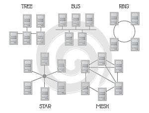 Network topology