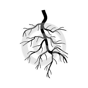 network tree root cartoon vector illustration
