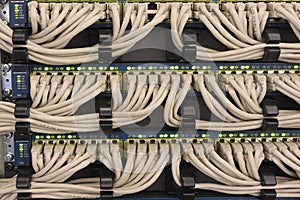 Network UTP cables connected to the routers photo