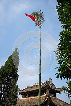 Neu tree. Vietnamese people have a custom of erecting a bamboo pole, known as a Neu tree, in front of their house on the last day