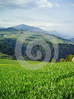 Neuheim in the Canton of Zug, Switzerland