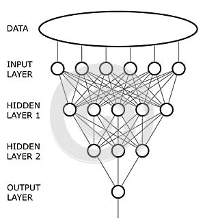 Neural net. Neuron network.