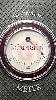Neural Plasticity and Adaptation that is hitting a full scale, showing a very high level of neural plasticity photo