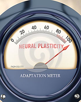Neural Plasticity and Adaptation Meter that is hitting a full scale, showing a very high level of neural plast photo
