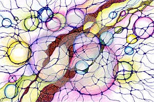 Neuro art graphic concept colorful bubble, circles and streams.