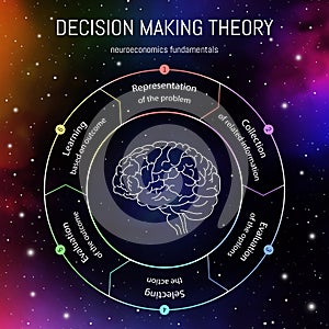 Neuroeconomics fundamentals infographics. Cognitive science vector illustration. Neuroscience decision making steps