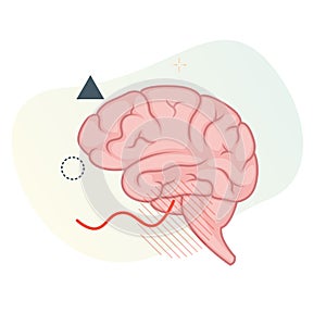 Neurological Affect on Brain due to Covid-19 - Icon