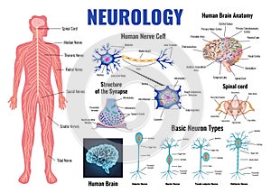 Neurology And Human Brain Set photo