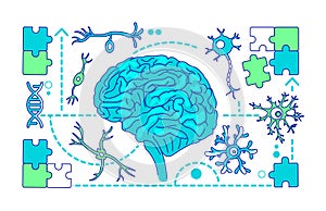 Neurology, neuroscience thin line concept vector illustration