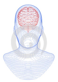 Neurology, philosophy: connections, the development of thought and reflection, the infinite possibilities of the brain and mind.