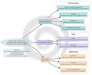 Neuromorphic Programming: Harnessing Brain-Inspired Algorithms for Efficient AI Systems