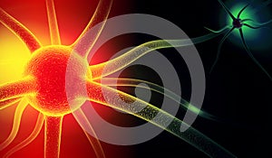 Neuron. Active nerve cell